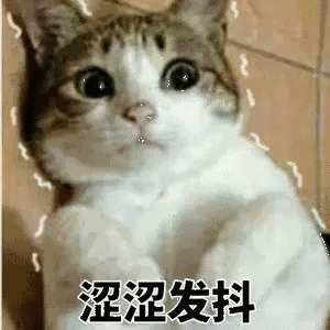 13.gif